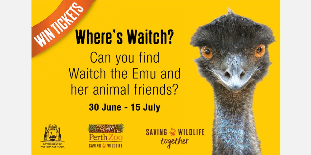 Win 1 of 85 family passes to Perth Zoo