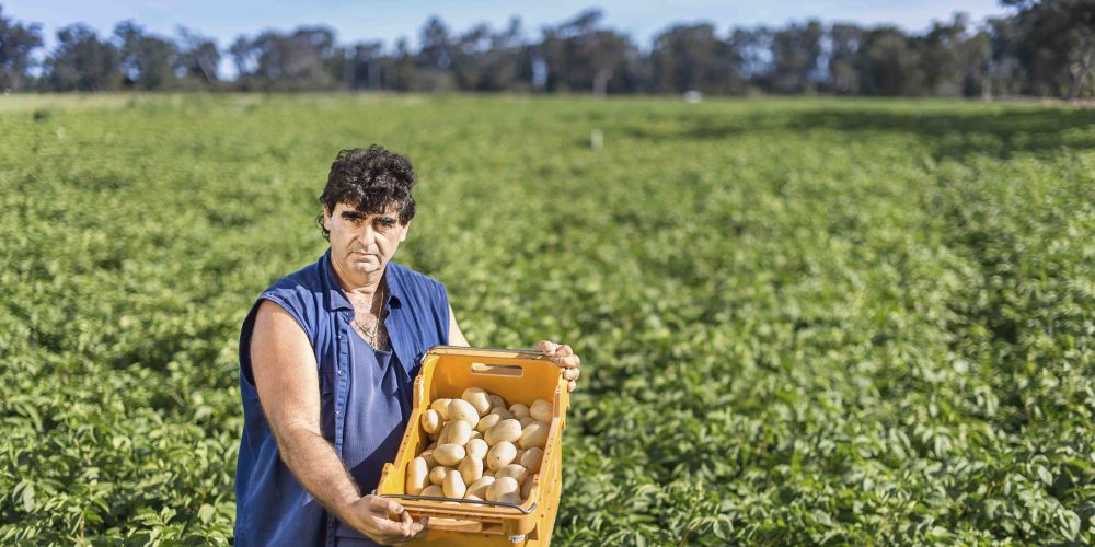 spudshed wins battle of bellevue after approval for old