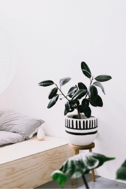The best in Perth pot and planter designs