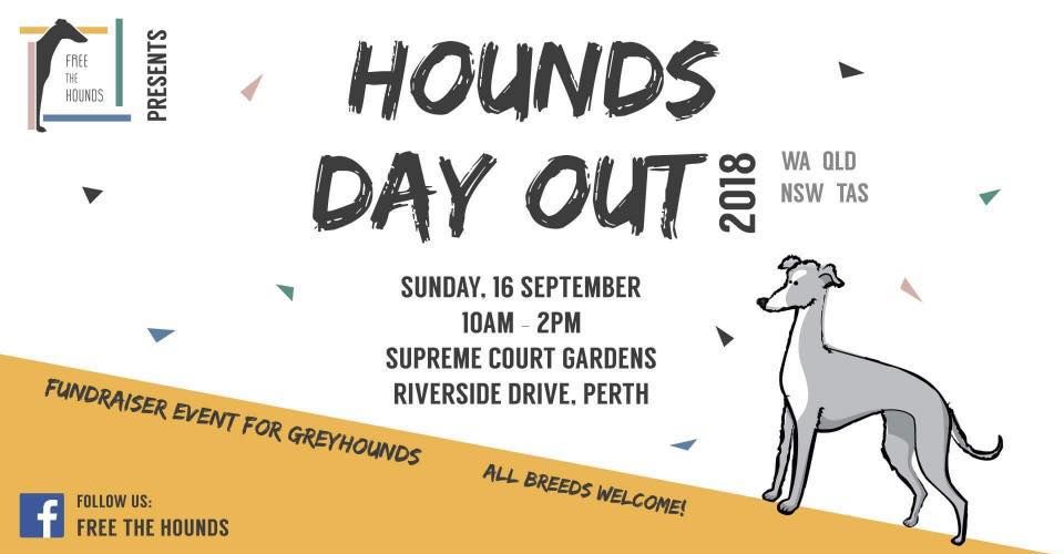 Hounds Day Out