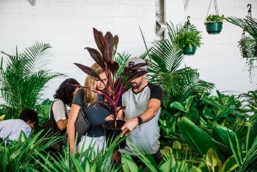 The Jungle Collective’s hip indoor plant sale party at The Old Pickle Factory