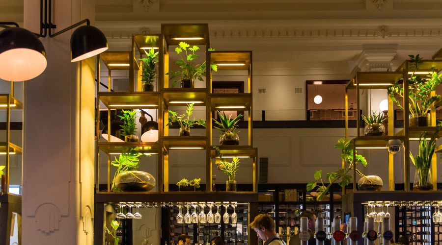 The Pepper Club – Networking