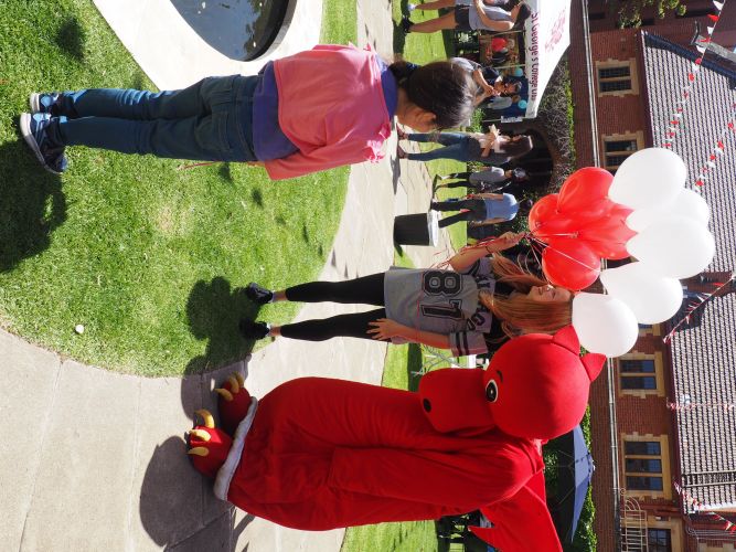 Spring Fair