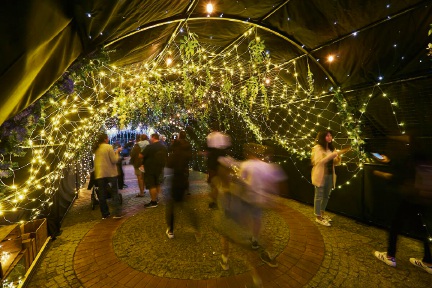 Kaleidoscope artists shed light on City of Joondalup