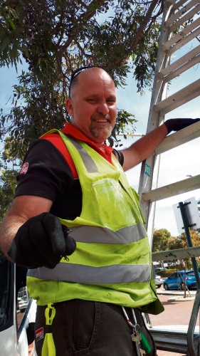 ‘Fluro hero’ to the rescue of willy wagtail in Joondalup