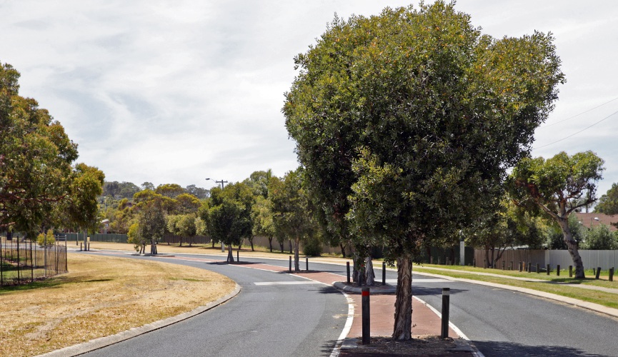 Wanneroo Council adopts policy to increase street trees to one per home