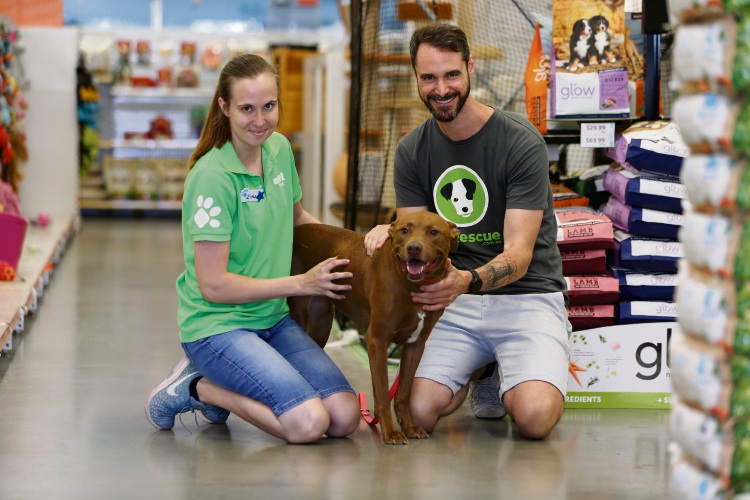 Perth: Furry friends looking for a family on National Pet Adoption Day