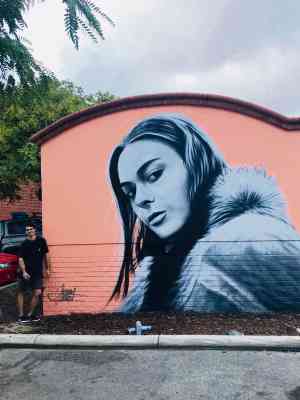 Murals bring art into public realms in Joondalup and Wanneroo