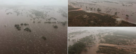 WA businesses looted during cyclone alert