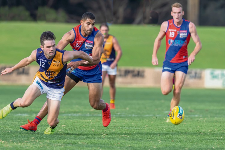 WAFL: Falcons make changes for South Fremantle after Tigers defeat