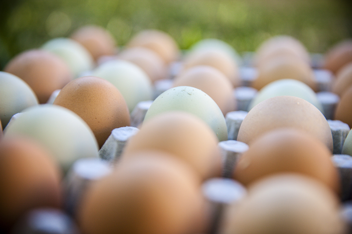 Fears cage eggs being sold as free range in Perth