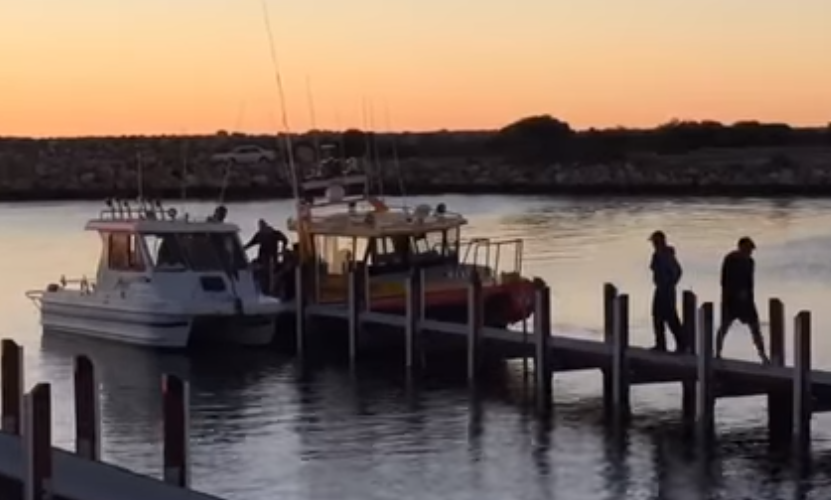 Mayday after boat hits whale off WA Community News Group