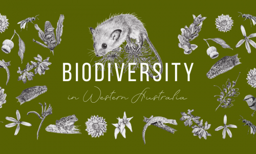 Art vs EnviroScience: Biodiversity in WA