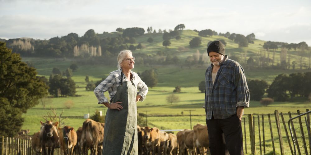 Bellbird film review: sweetly melancholic