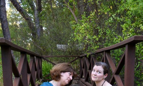 Shakespeare in the Park: A Midsummer Night’s Dream