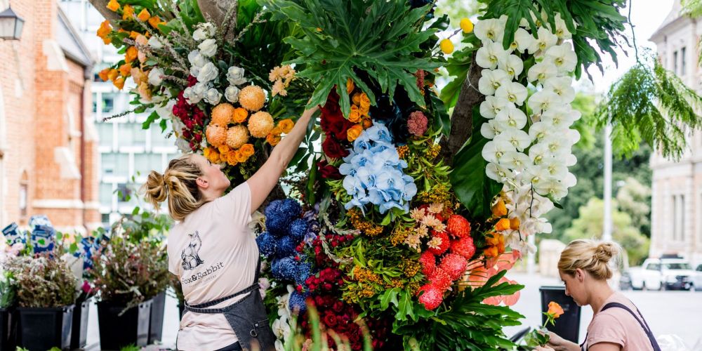 Flower bomb blooms as installation of hope Community News Group