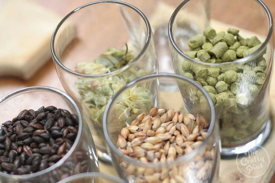 Hop Factory Brews and Chews at The Hop Factory - The Crafty Pint