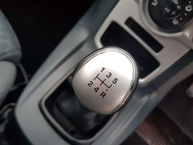 Ford fiesta ZETEC