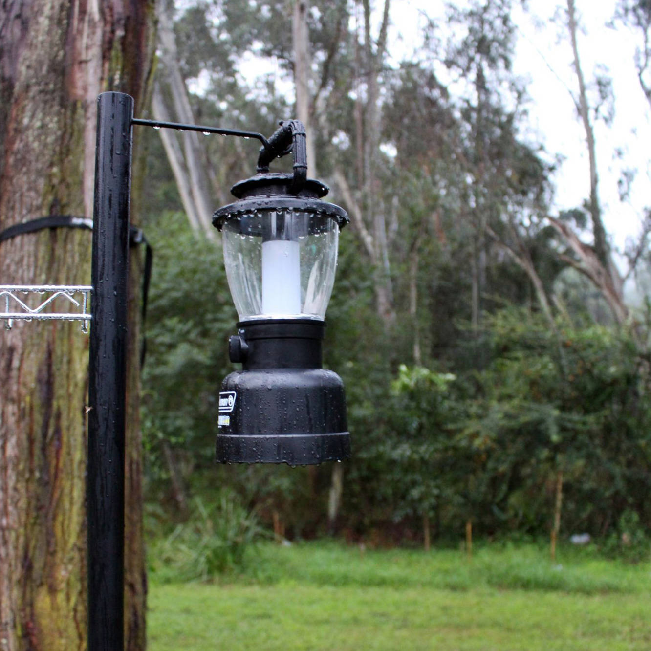 Coleman Lantern Rugged Lithium Ion 300 Lumen Super Bright USB