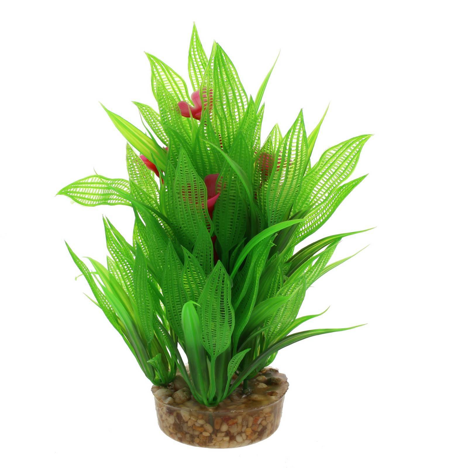 Aquarium Plant MADAGASCAR LACE with Gravel Base MEDIUM 28194 Fish Tank