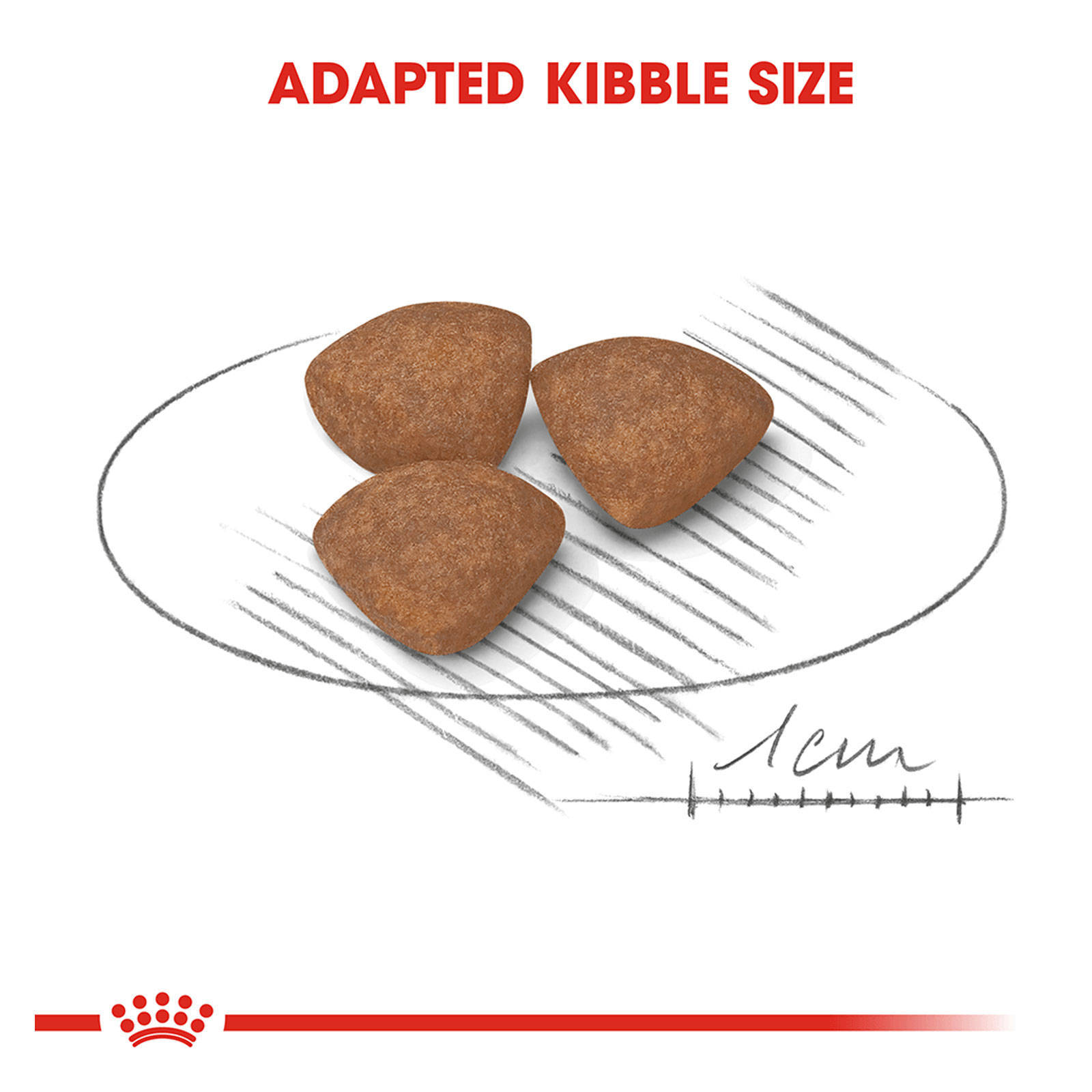 Royal Canin Mini Junior 2kg Dog Food Breed Specific Premium Dry Food