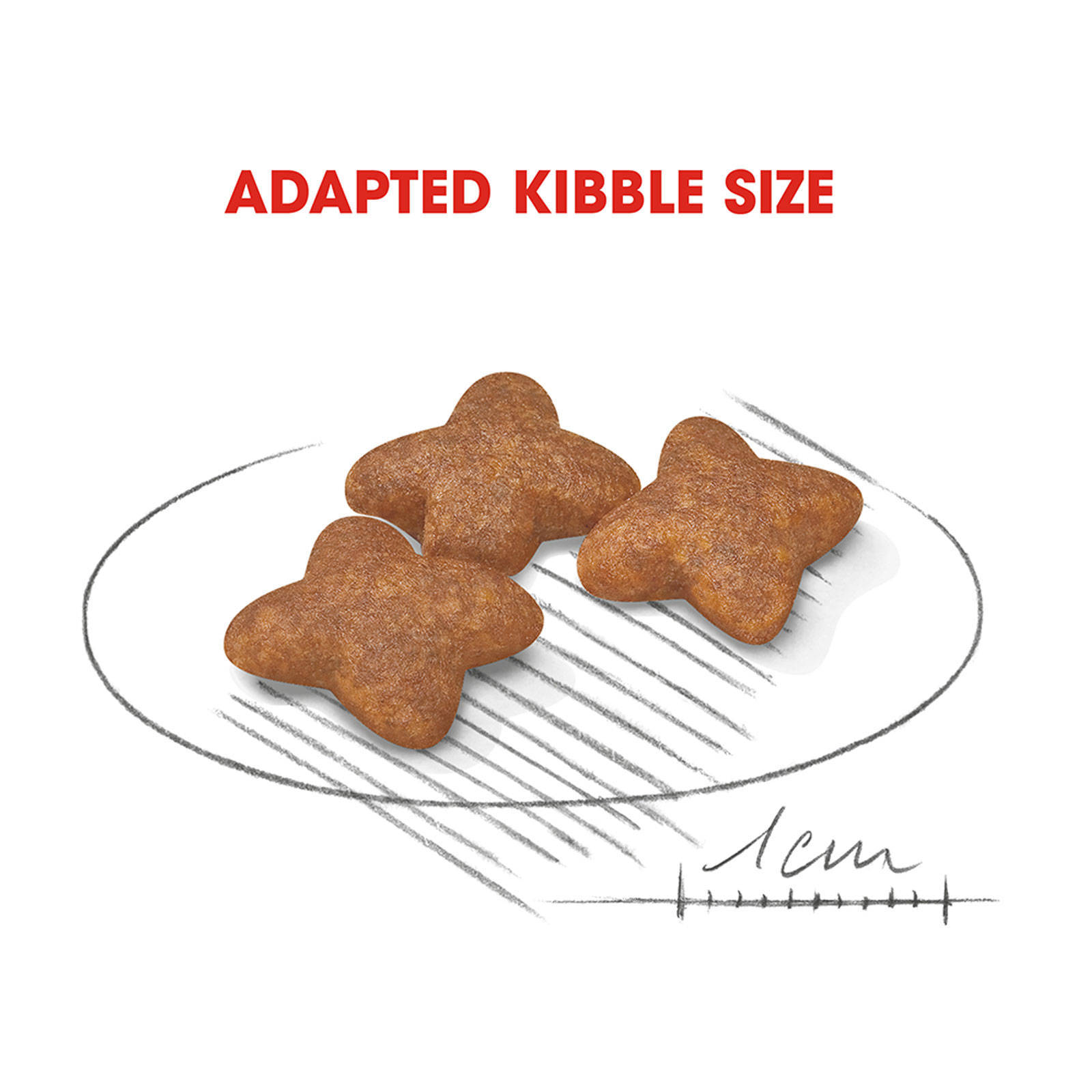 Royal Canin Mini Adult 2kg Dog Food Premium Dry Food