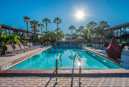 Magic Tree Resort