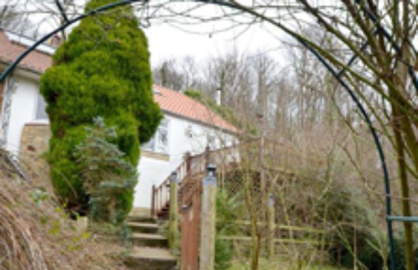 Squirrels Acres Cottage