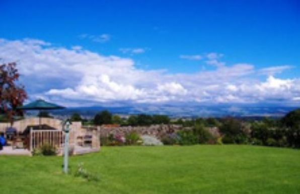 Curlew Cottage