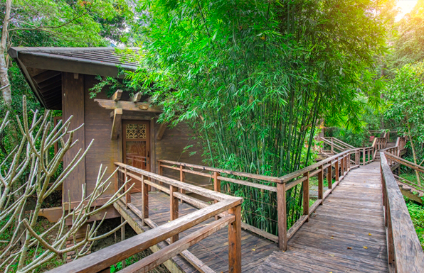 Wuzhishan Yatai Rainforest Hotel