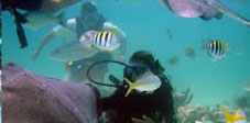 7 Mile Beach Resort & Club