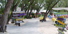 7 Mile Beach Resort & Club