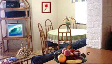 Pearly Shells South Africa Kwazulu Natal South Coast 7across Resort Profile