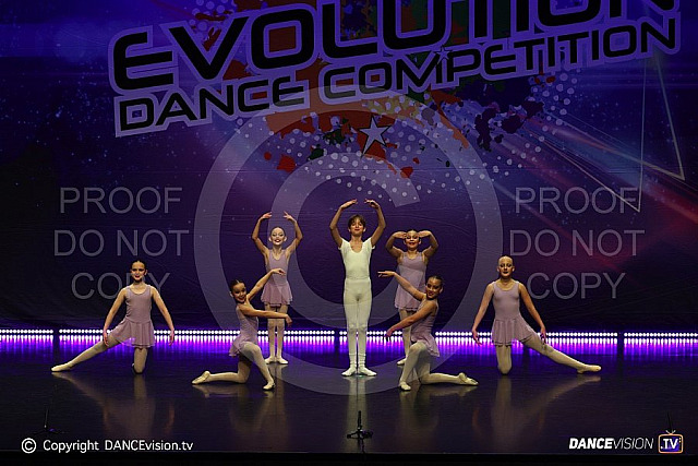 Evolution Brisbane Groups 2026