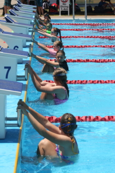 Bcc Sec Swimming Carnival 2019 195