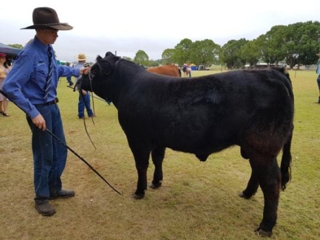Kingaroy1