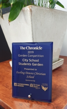 Tcof Plaque 2
