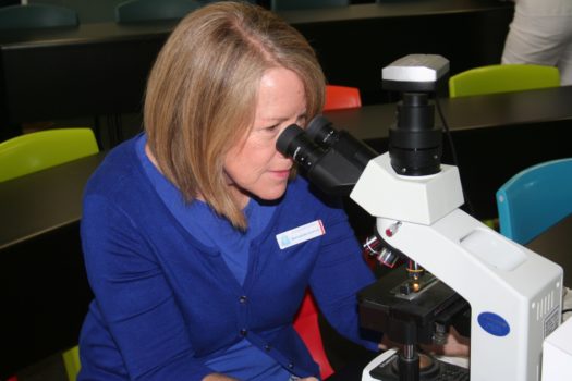 Ahs Open Day 2016 11