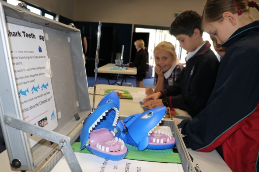 Fun With Maths Incursion 4