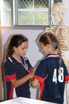 Img 2750 Web