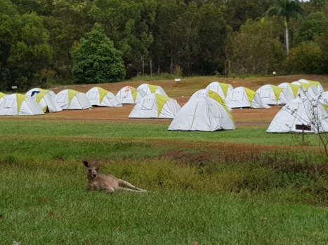 Jan 2018 Camps 3