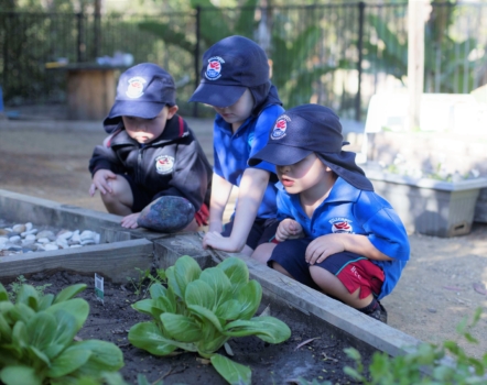 Kindy Garden