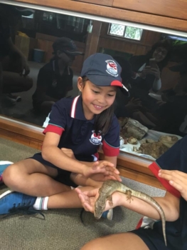 Numinbah Valley Excursion 12
