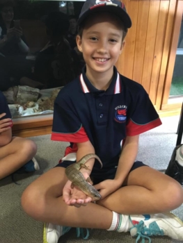 Numinbah Valley Excursion 13