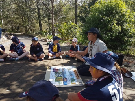 Numinbah Valley Excursion 22