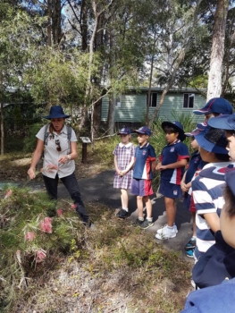 Numinbah Valley Excursion 23