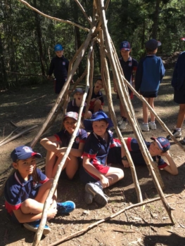 Numinbah Valley Excursion 3