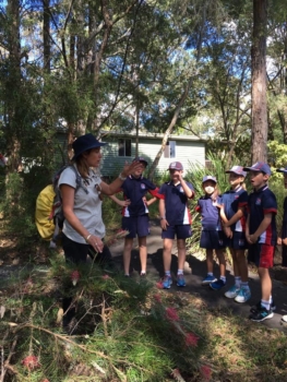 Numinbah Valley Excursion 6