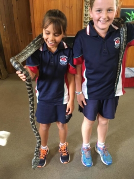 Numinbah Valley Excursion 7