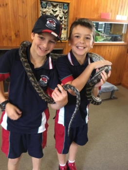 Numinbah Valley Excursion 9